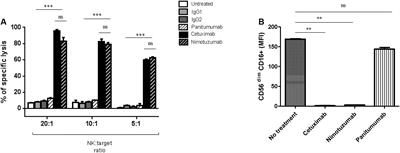 Nimotuzumab Induces NK Cell Activation, Cytotoxicity, Dendritic Cell Maturation and Expansion of EGFR-Specific T Cells in Head and Neck Cancer Patients